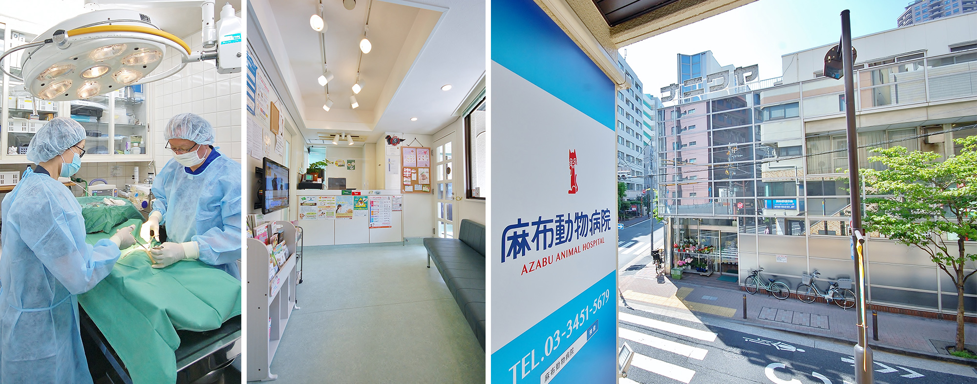 港区の麻布動物病院　画像2